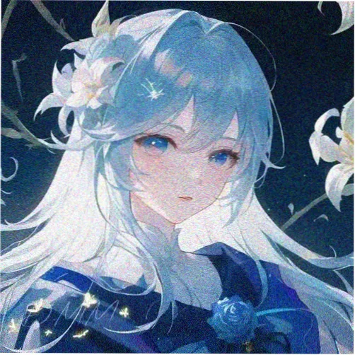 访客林舟头像